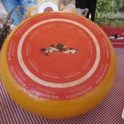 Bünkemühler Hofkäserei Großer, runder Laib Käse mit rotem Etikett der Bünkemühler Hofkäserei auf karierter Tischdecke.