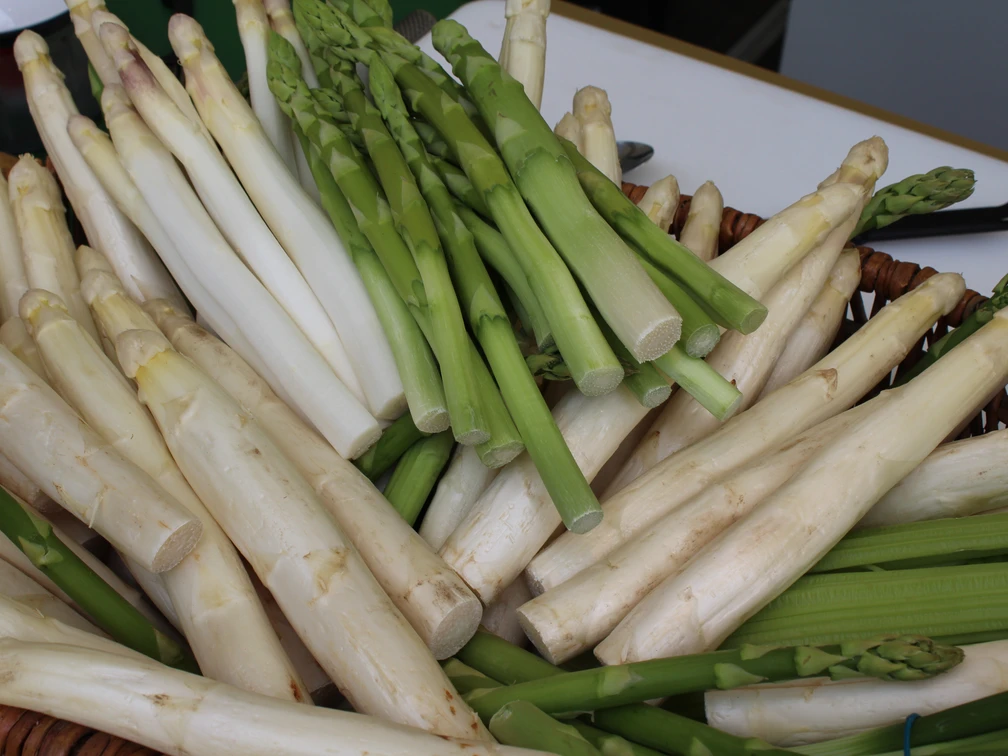Nienburger Spargel Weiße und grüne Spargelstangen in einem Korb, frisch geerntet und gestapelt.