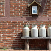 Milchkannen Vier traditionelle Milchkannen stehen auf einer Holzbank vor einer Backsteinmauer mit Fachwerk.