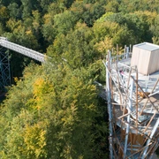 Baumwipfelpfad in Bad Iburg Baumwipfelpfad mit Aussichtsturm, umgeben von dichtem Wald in herbstlichen Farben.