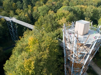 Baumwipfelpfad in Bad Iburg Baumwipfelpfad mit Aussichtsturm, umgeben von dichtem Wald in herbstlichen Farben.