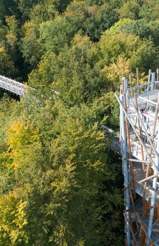 Baumwipfelpfad in Bad Iburg Baumwipfelpfad mit Aussichtsturm, umgeben von dichtem Wald in herbstlichen Farben.