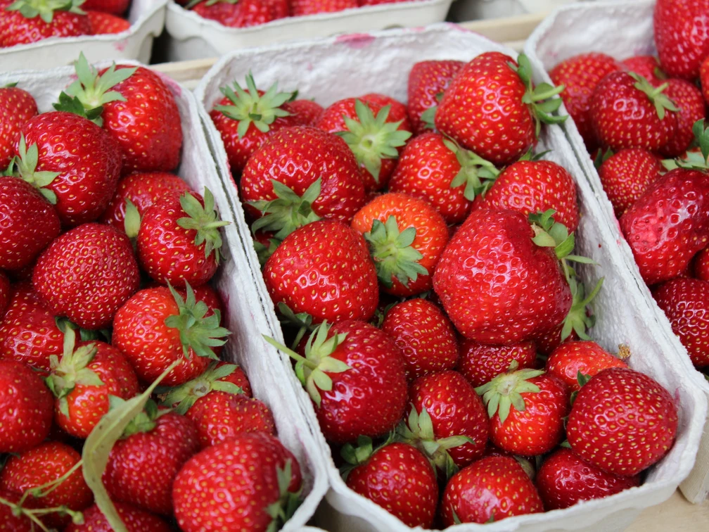 Erdbeeren Frische Erdbeeren in Obstkisten, leuchtend rot und appetitlich, mit grünen Stängeln.