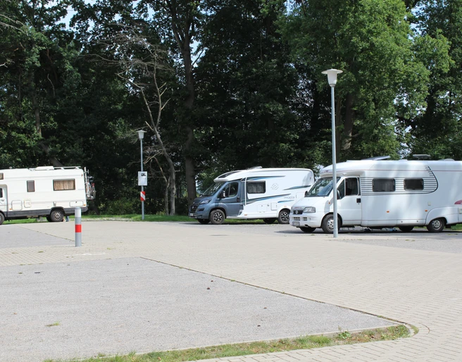 Wohnmobilstellplatz Steimbke Drei Wohnmobile parken auf einem gepflasterten Platz umgeben von hohen Bäumen bei Tageslicht.