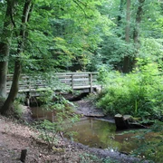 Märchenwald Pfarrbusch Eine hölzerne Fußgängerbrücke überspannt einen kleinen Bach in einem üppig bewaldeten Gebiet.