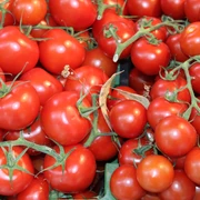 Tomaten Frische rote Tomaten mit grünen Stielen, dicht angeordnet, vermitteln ein lebendiges und gesundes Bild.