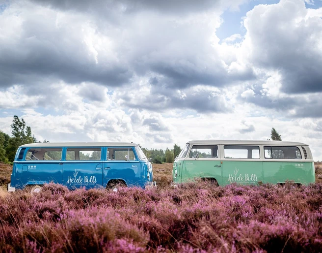 HeideBulli in der Heide