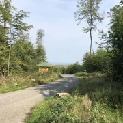 Rehburger Berge Ein geschwungener Waldweg führt zu einer grünen Hütte, umgeben von hohen Bäumen und Pflanzen.