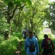 Wandertour Achim Auf einem schmalen Pfad wandern Menschen durch einen grünen, lichtdurchfluteten Wald.