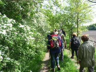 Wandertour "Mythos Moor" Eine wandernde Gruppe auf einem schmalen Pfad, gesäumt von blühenden Sträuchern und grünen Bäumen.