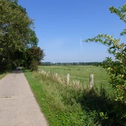 Wandertour "Durch die Marsch" Ein schmaler Weg führt durch grüne Felder unter blauem Himmel, gesäumt von Bäumen und Pflanzen.