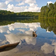 pinnsee-spiegelung pinnsee-spiegelung