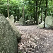 Findlings Wald Findlings Wald bei 52.41°N, 9.10°O: Große, moosbedeckte Steine stehen inmitten eines lichten Waldes.