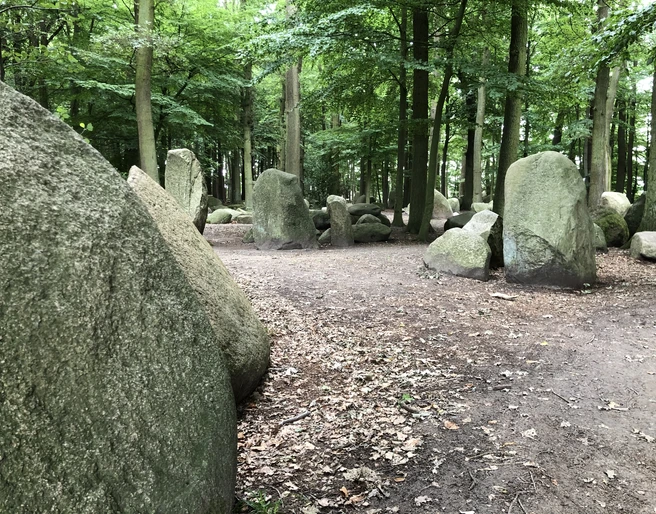 Findlings Wald Findlings Wald bei 52.41°N, 9.10°O: Große, moosbedeckte Steine stehen inmitten eines lichten Waldes.