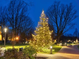 lichterwochen-kurpark-bad-zwischenahn.jpg Weihnachtlich beleuchteter Kurpark in Bad Zwischenahn mit Windmühle und Lichterbäumen im Abendlicht.