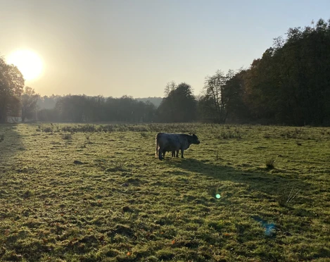 Pirschbachtal bei Mölln Pirschbachtal bei Mölln