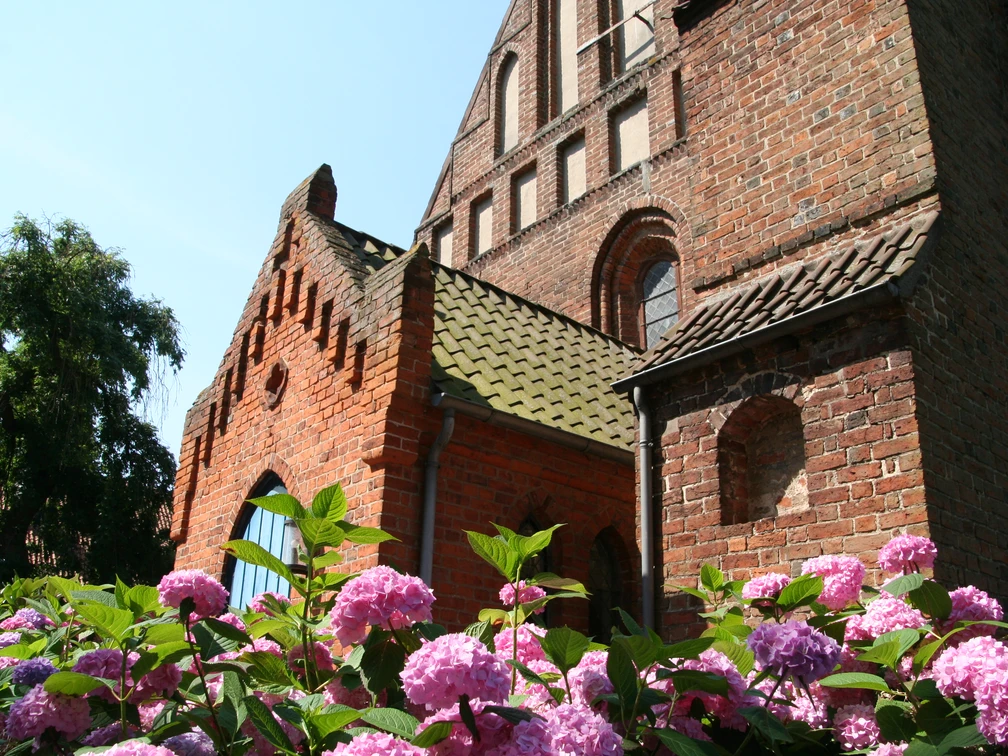 Kirche St. Cosmae und Damiani  Backsteinkirche mit hübschen Dachfirsten und Rosen im Vordergrund unter klarem blauem Himmel.