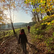 Unterwegs im Pirschbachtal
