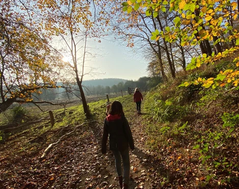 Unterwegs im Pirschbachtal