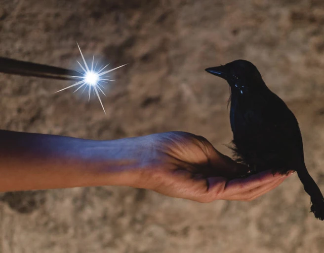 Harz-Escape in Wernigerode - Zauberprüfung Rabe Harz-Escape in Wernigerode - Zauberprüfung Rabe