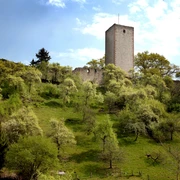 Außenansicht der Ruine der ehemaligen Burg Greene.