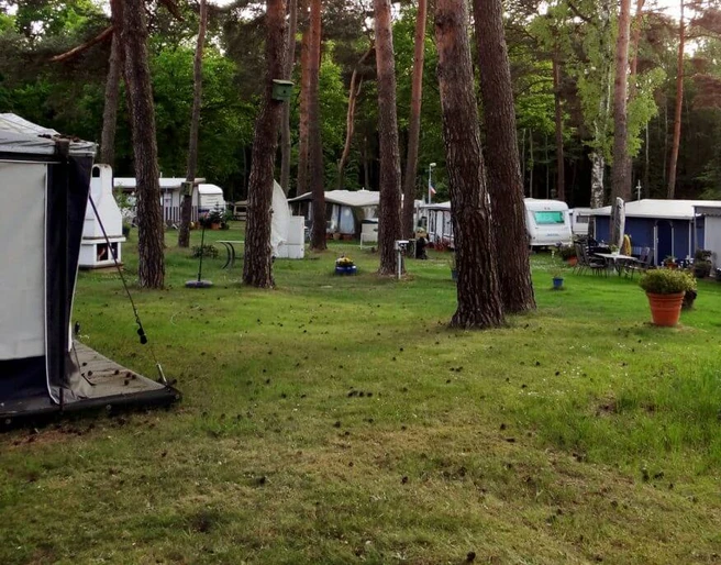 Forest swimming pool and camping Das Bild zeigt einen Campingplatz mit mehreren Wohnwagen und Zelten unter hohen Kiefern. Die Umgebung ist von grüner Wiese und dichtem Wald geprägt.The picture shows a campsite with several caravans and tents under tall pine trees. The surrounding area is characterized by green meadows and dense forest.