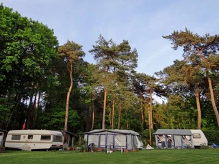 Forest swimming pool and camping Zwei Wohnwagen und Vorzelte auf einem grasbewachsenen Campingplatz umgeben von hohen Kiefern.Two caravans and awnings on a grassy campsite surrounded by tall pine trees.