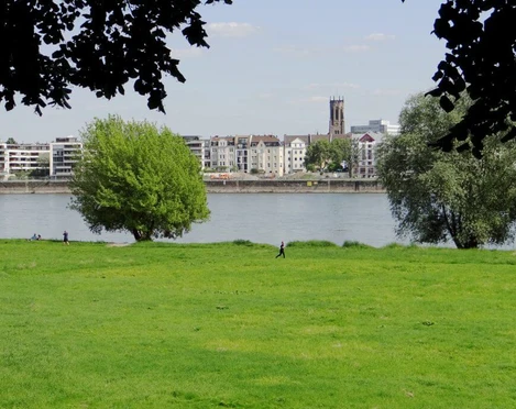 Motorhome park Blick auf den Reisemobilhafen in Riehl mit Rhein und grüner Wiese, Bäume rahmen das Bild ein.View of the motorhome port in Riehl with the Rhine and green meadow, framed by trees.