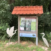Auwald Hingste Zwei silberne Reiher-Skulpturen flankieren eine Infotafel mit rotem Dach in einem grünen Waldstück.