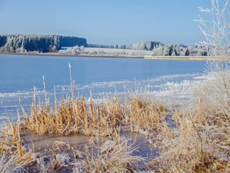 Talsperre Muldenberg