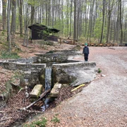 Ducksteinquelle bei Moringen_Wasserfall ducksteinquelle-bei-moringen-wasserfall