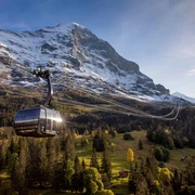 eiger-express-herbst-gondel-eigernordwand-sonne-wald.jpg