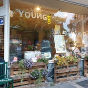 youngart-galerie-in-der-kunstapotheke-schaufenster