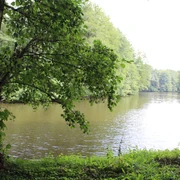 Ein ruhiger See von Bäumen umgeben, mit sanften Wellen und bewachsenen Ufern beim SG Uchte.