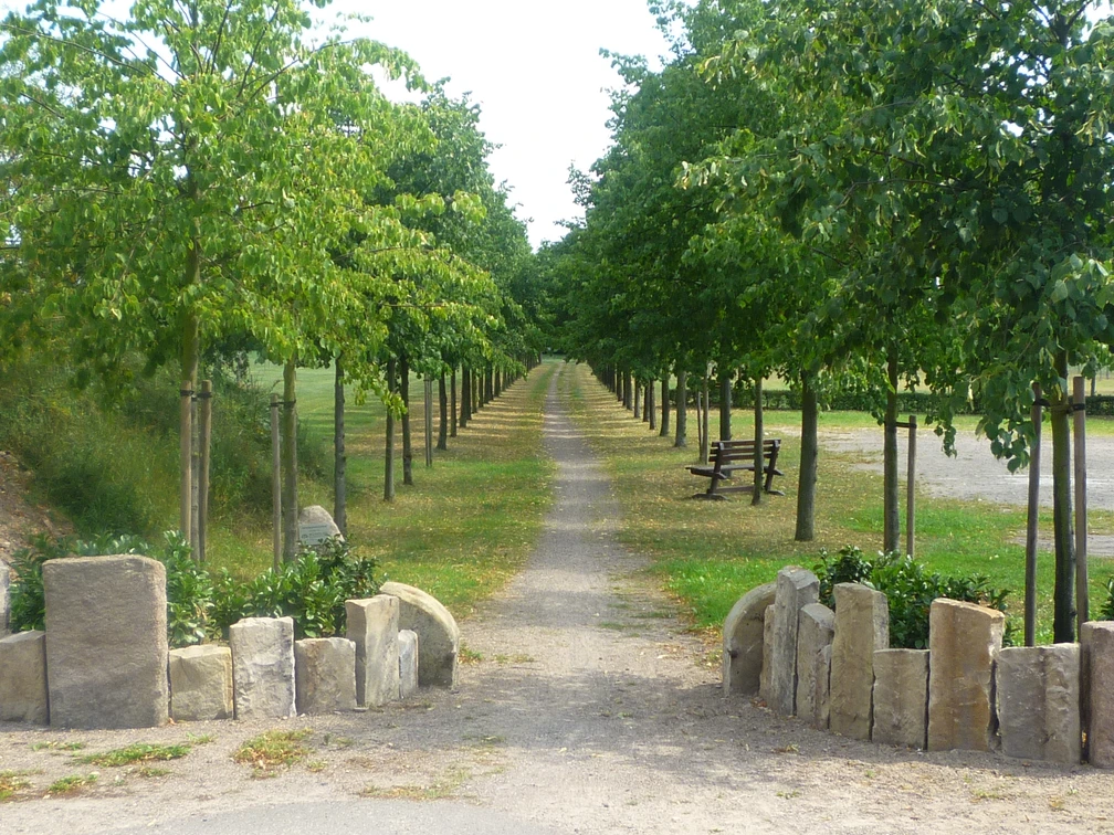 Jahrtausendallee Baumpark Thedinghausen Baumpfad mit gepflastertem Weg, gesäumt von grünen Bäumen und Sitzbänken neben einer Kiesfläche.
