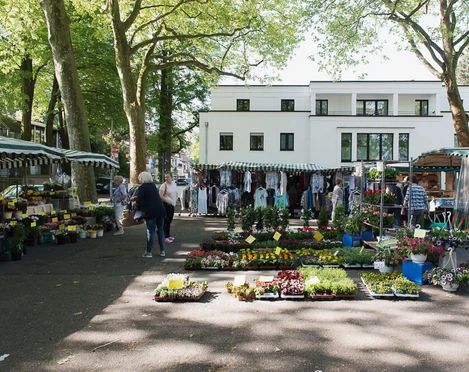 Lebendiger Wochenmarkt in Köln-Weiden, mit Ständen unter Bäumen und Haus im Hintergrund.Lively weekly market in Cologne-Weiden, with stalls under trees and a house in the background.