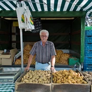 Älterer Herr verkauft frische Kartoffeln an einem Marktstand unter einem gestreiften Zelt.Elderly man selling fresh potatoes at a market stall under a striped tent.