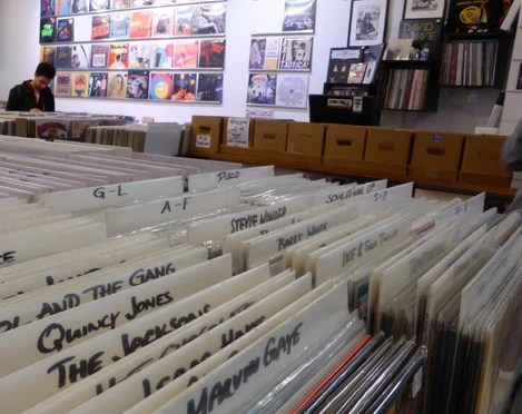 Parallel Schallplatten Eine Person sucht durch eine Vielzahl von Schallplatten in einem Plattenladen. Die vorderen Regale sind mit beschrifteten Vinyl-Schutzhüllen gefüllt, darüber Vinyl-Cover an der Wand.A person searches through a multitude of records in a record store. The front shelves are filled with labeled vinyl sleeves, with vinyl covers on the wall above them.