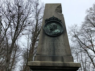Herzog-Wilhelm Denkmal Thedinghausen Gedenksäule mit Relief von Herzog Wilhelm, umgeben von winterlichen Bäumen unter grauem Himmel.