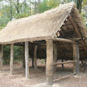 Altsachsenhütte Grasgedecktes Holzgebäude im Wald mit rustikaler Struktur und umgeben von herbstlichem Laub.