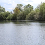 Ziegeleisee Hoya Ein ruhiger See umgeben von grünen Bäumen und strahlendem Himmel mit Wolkenformationen.