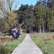 Bohlenweg Postmoor.jpg Bohlenweg Postmoor