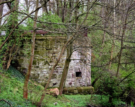 1Bastion am Krähengraben Bastion in der Natur der ehemaligen Wallanlagen.