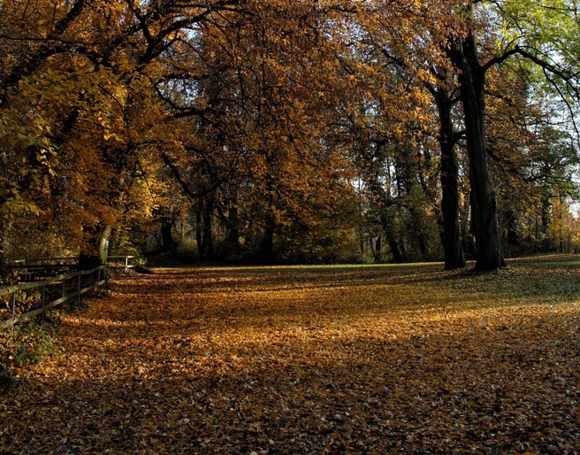 Offiziersgarten_im Herbst offiziersgarten-im-herbst