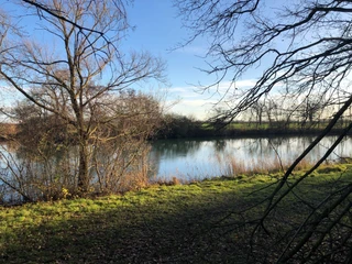 Ruhiger See mit kahlen Bäumen an den Ufern und einem klaren Himmel im Hintergrund bei Tageslicht.