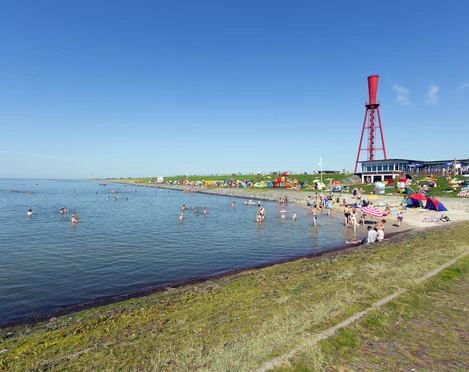 Thomas Hellmann Thomas Hellmann