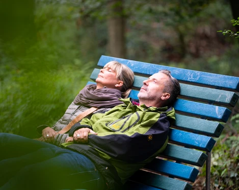 Wellenliege im Waldbaden-Areal in Bad Laer Wellenliege im Waldbaden-Areal