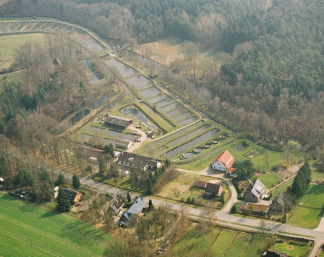 Luftbild vom Grevenhof