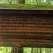 hohegeiß-Dicke Tannen-Infotafel.jpg