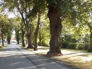 Hubeweg_Hinauf zur Hube hubeweg-hinauf-zur-hube